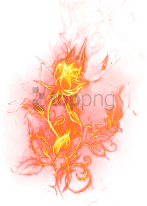 Free Png Fire Rose Png Image With Transparent Background - Transparent Fire Rose Clipart (480x669), Png Download