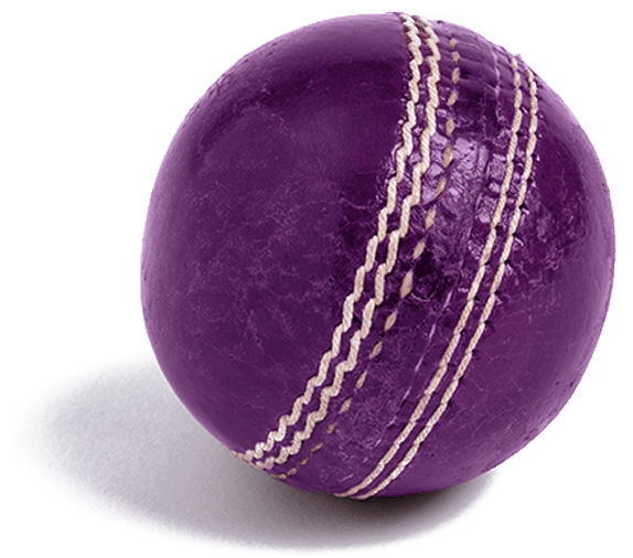Our Cricket Partnership - College Softball Clipart (800x800), Png Download