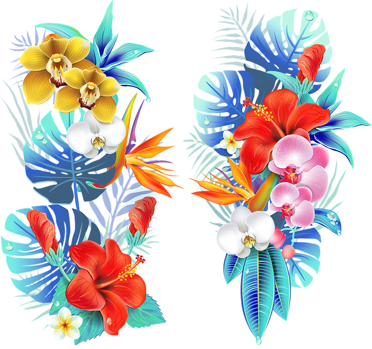 Tropical, Medellin, Flowers, Fair Of Flowers, Field - Dessin Fleur Tropicale Clipart (767x720), Png Download