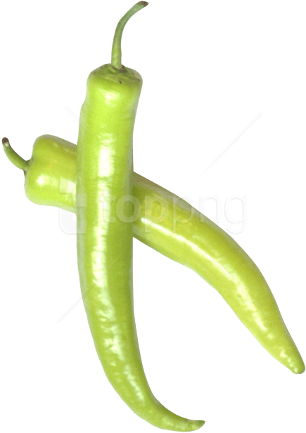 Free Png Download Green Chili Pepper Png Images Background - Green Chili Pepper Png Clipart (480x655), Png Download