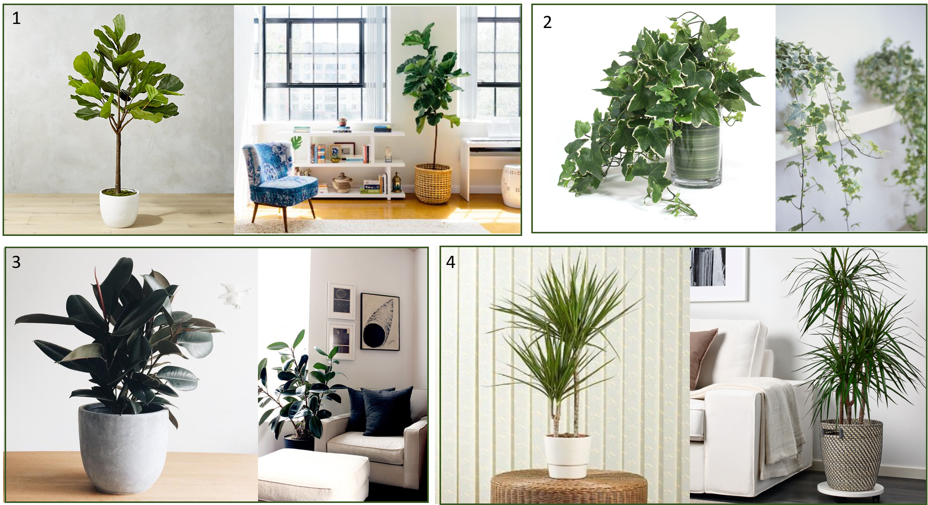 Plants - Interior Design Clipart (1820x991), Png Download