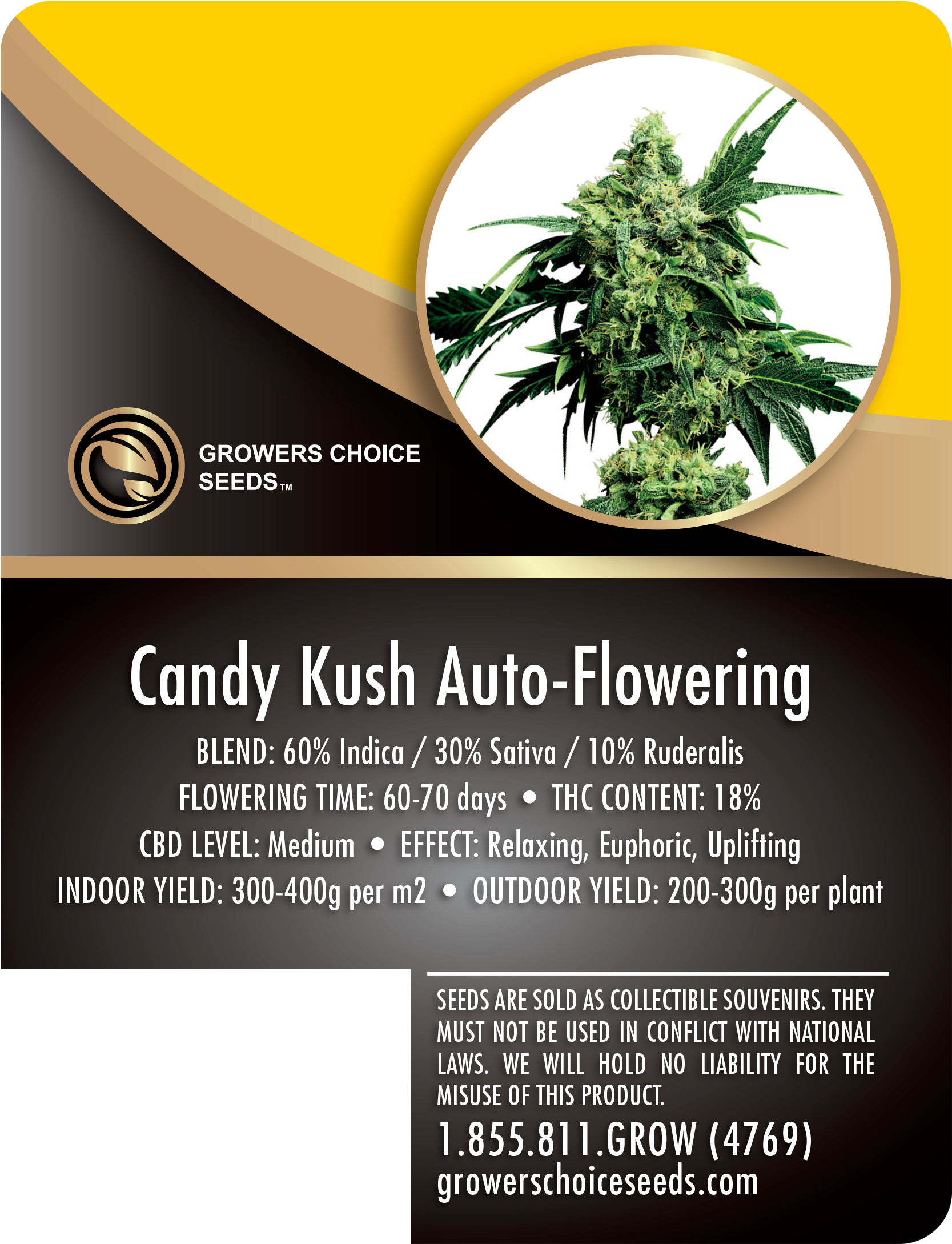 Sour Kush Autoflower Clipart (1919x2505), Png Download