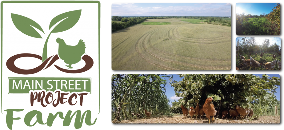 Main Street Project Farm Poultry Regenerative - Field Clipart (1024x427), Png Download