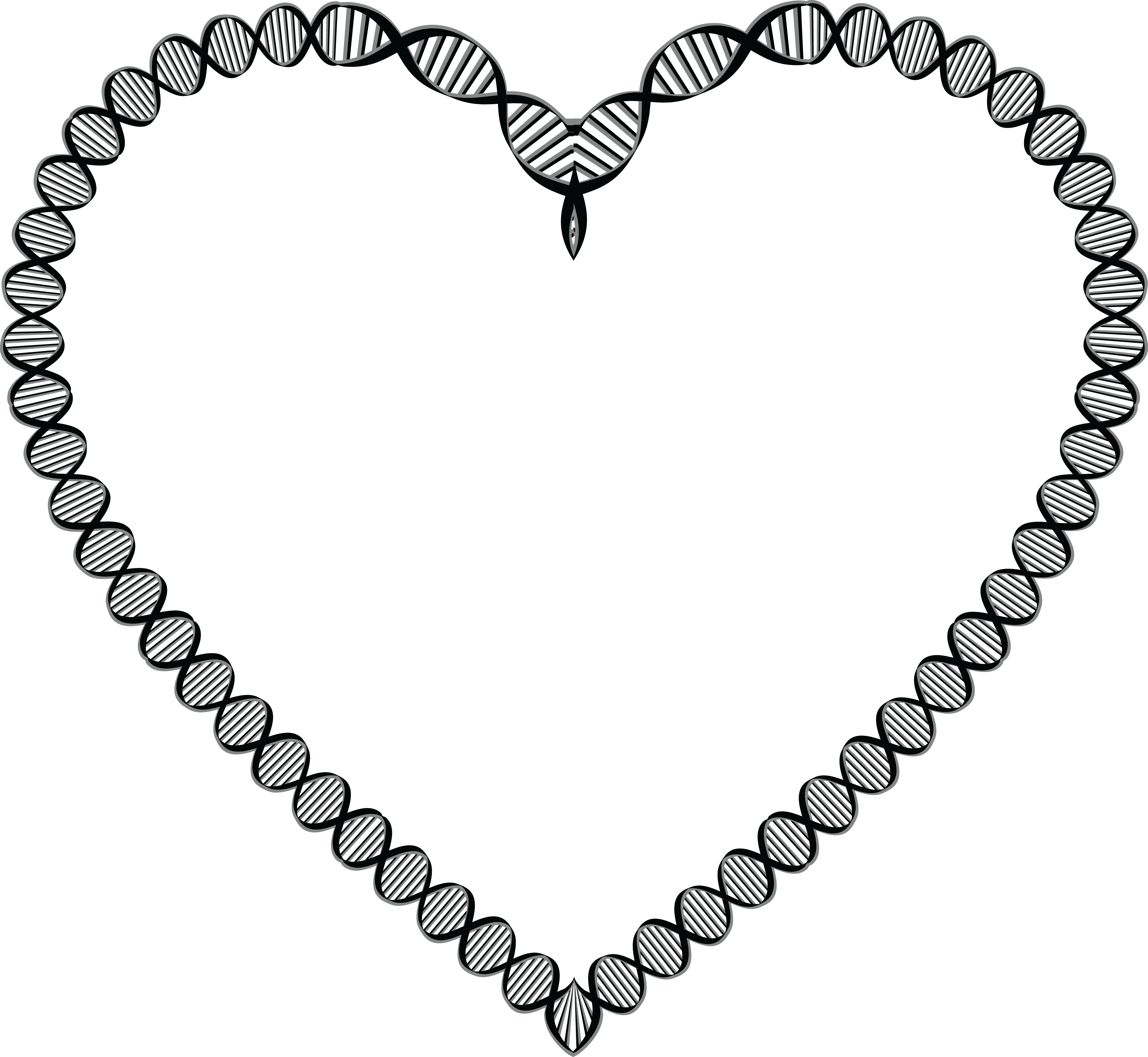 Free Of A Dna Double Helix Strand - Border Line Design For Biology Clipart (4000x3682), Png Download