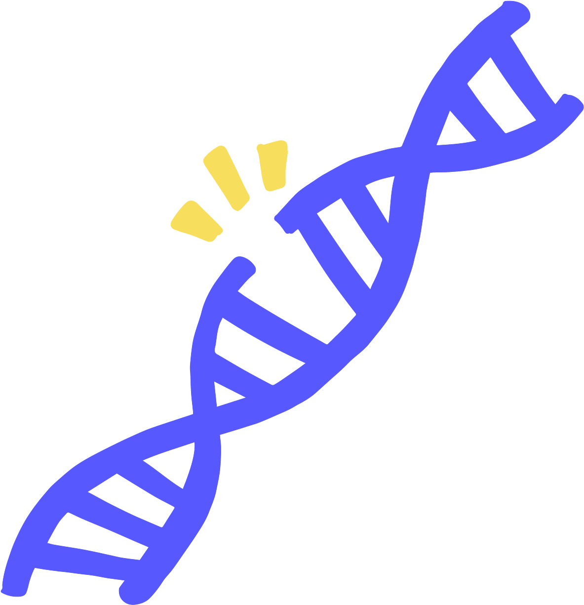 When Only One Strand Of Dna Is Broken, There Is A Gap - Dna Damage Icon Clipart (1200x1238), Png Download