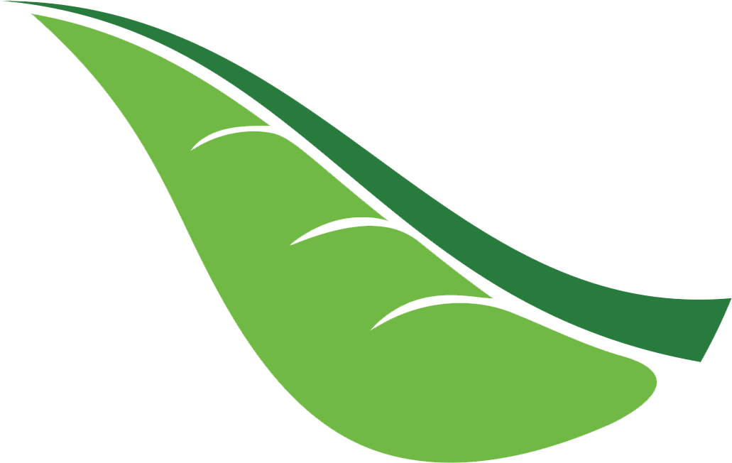 Camping Clipart Outbound Training - Png Download (1031x652), Png Download