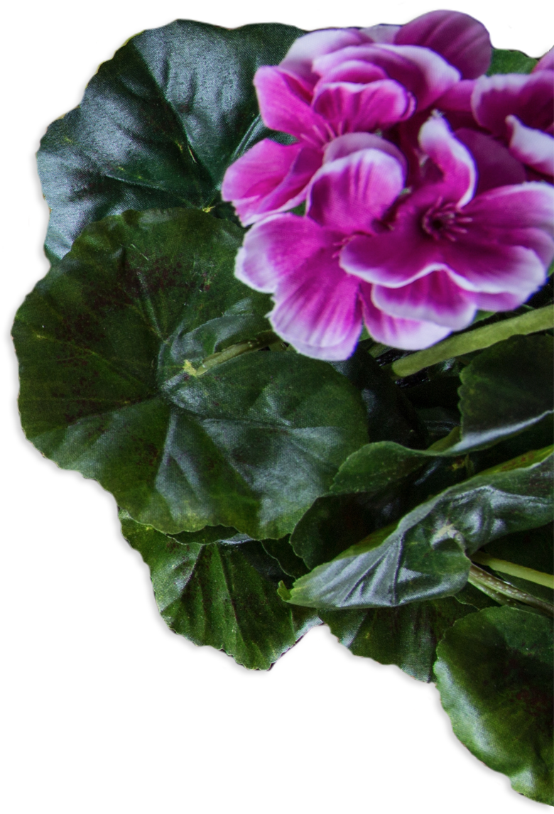 Left 03 Right - Garden Clipart (802x1185), Png Download