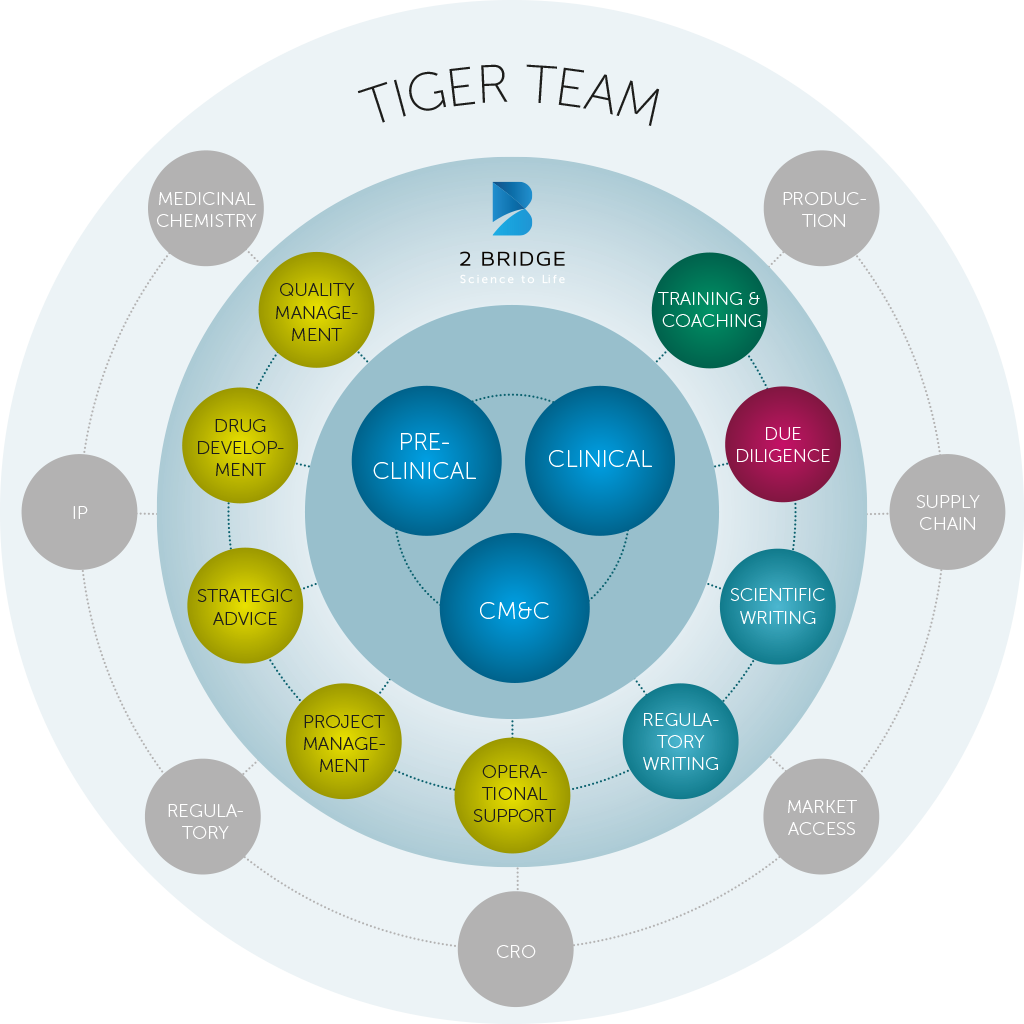 What A Tiger Team Can Do - Circle Clipart (1024x1024), Png Download