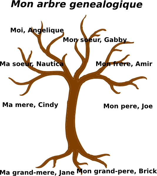 Cartoon Tree No Leaves Clipart (534x599), Png Download
