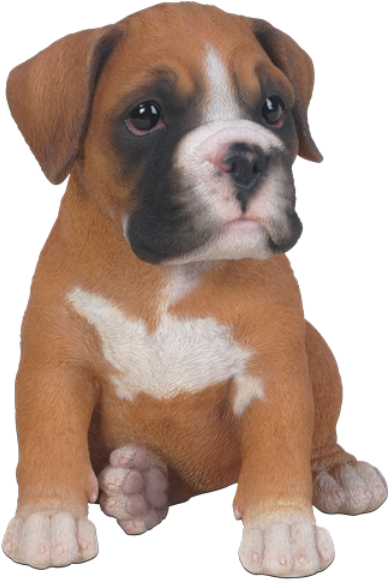 Pet In Gift - Boxer Puppy Clip Art - Png Download (600x600), Png Download