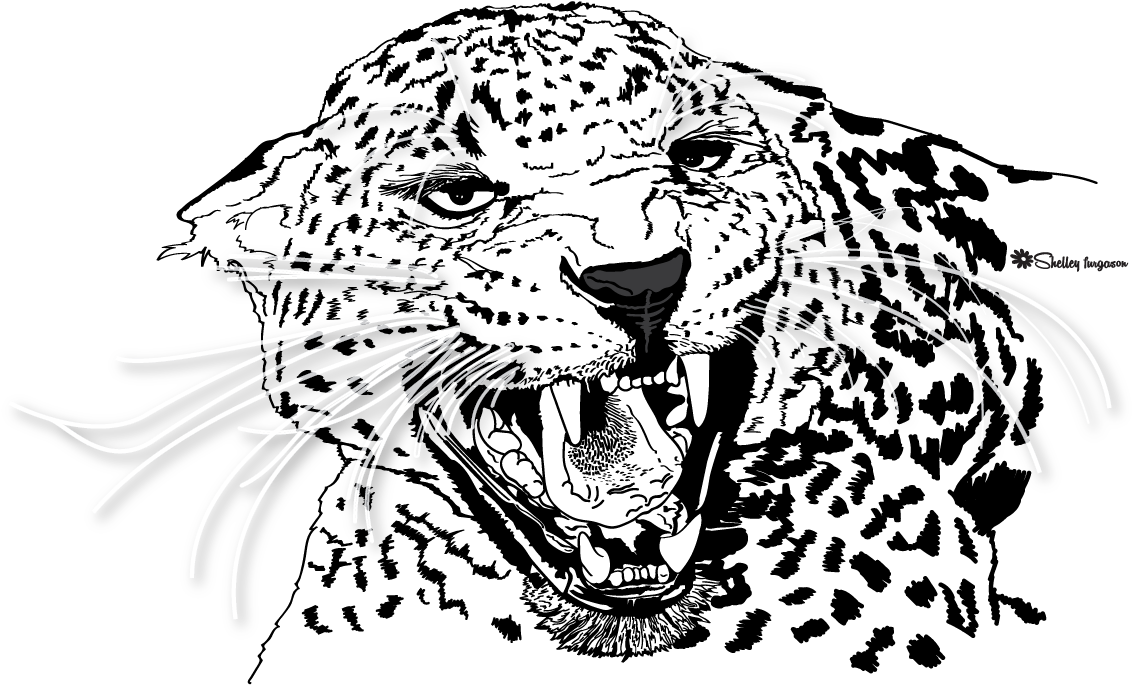 Leopard - Illustration Clipart (1142x684), Png Download