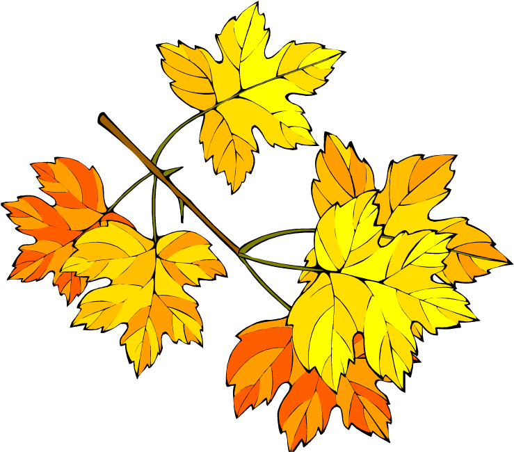 Leaf - Осенние Каникулы Рисунки Clipart (750x663), Png Download