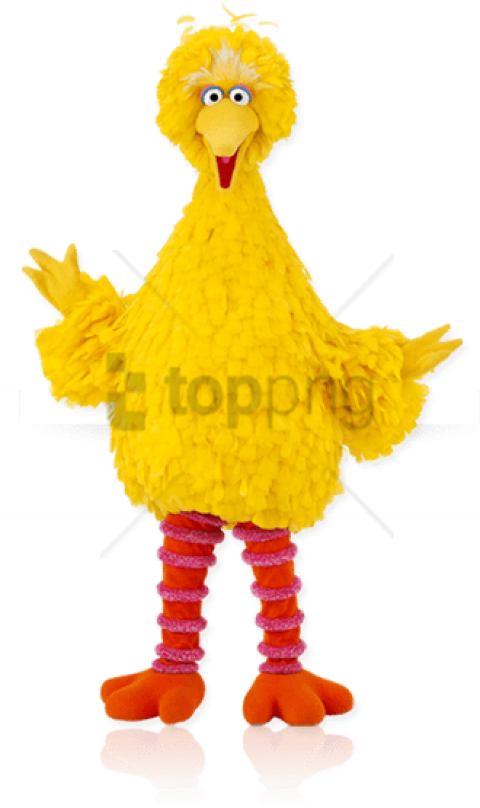 Free Png Big Bird High Resolution Png Image With Transparent - Big Bird Png Clipart (480x808), Png Download