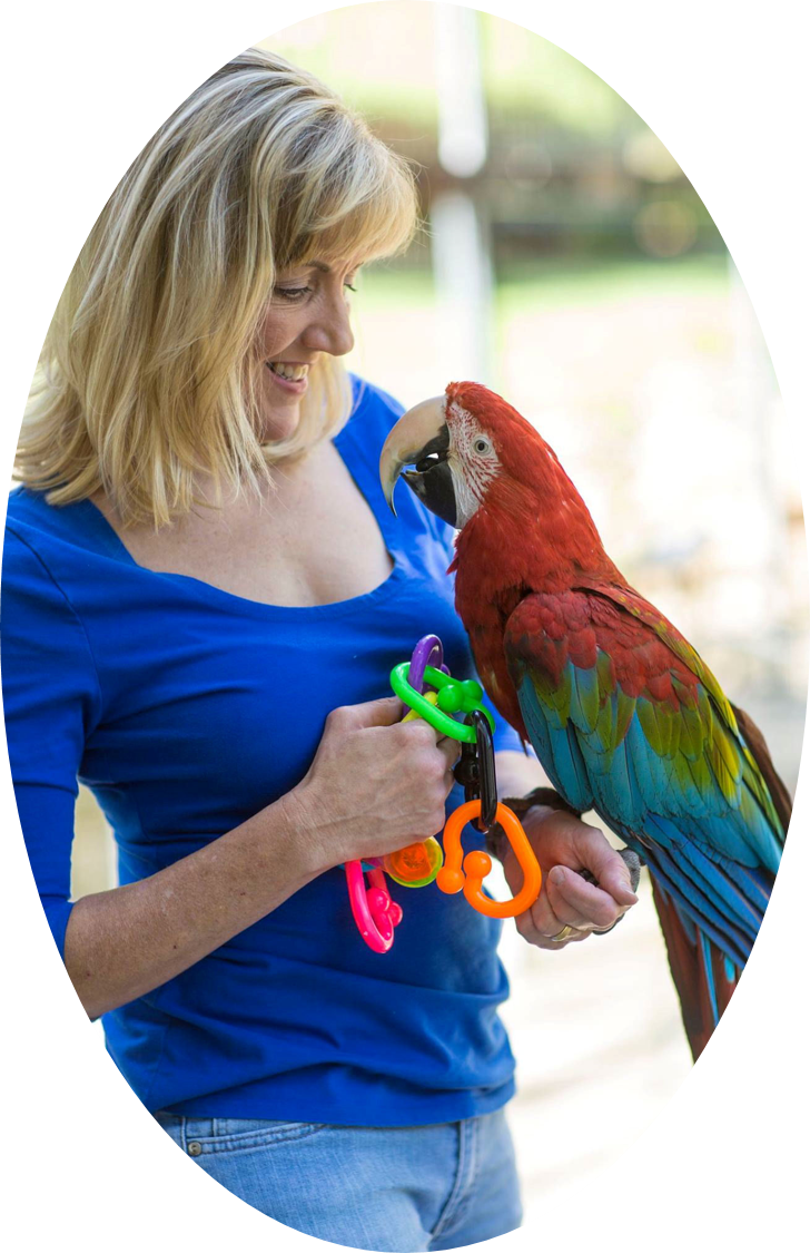 Big Bird With Her - Macaw Clipart (728x1125), Png Download