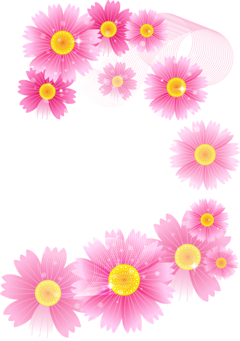 Graphic Download - Background Pink Flower Png Clipart (492x699), Png Download