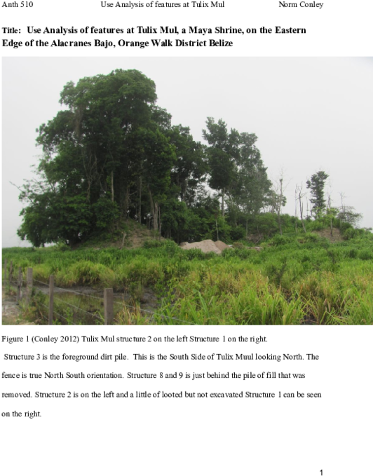 Doc - Mexican Pinyon Clipart (600x776), Png Download