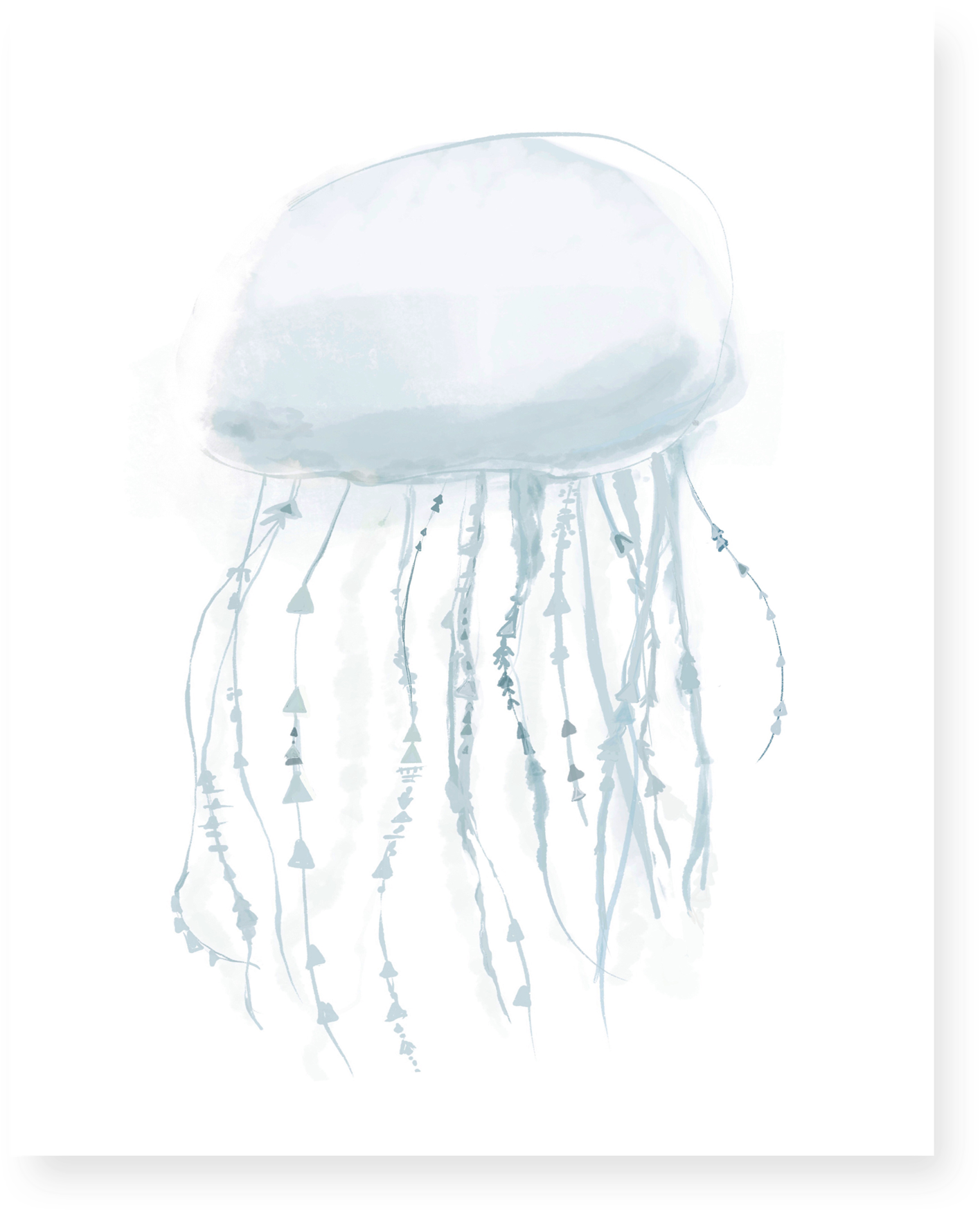 Jellyfish Png Clipart (2500x2500), Png Download