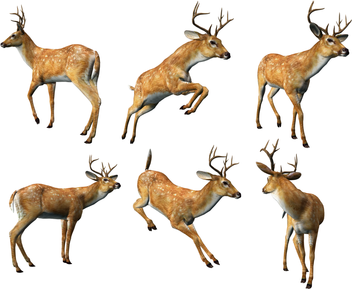 3d Animal Png Clipart (1226x998), Png Download