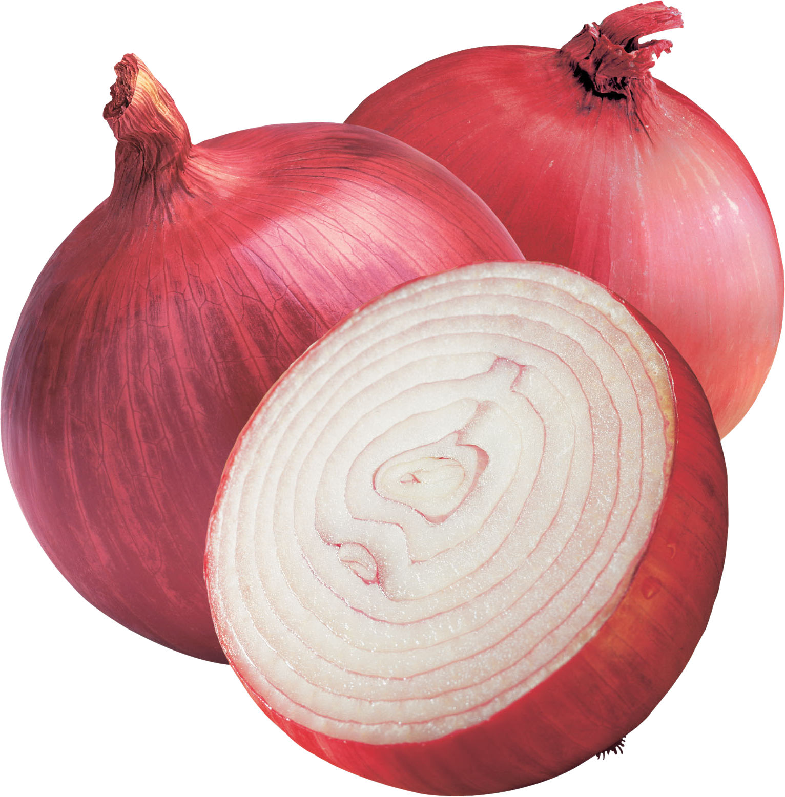 Onion Png Image - Transparent Background Onion Png Clipart (1532x1556), Png Download