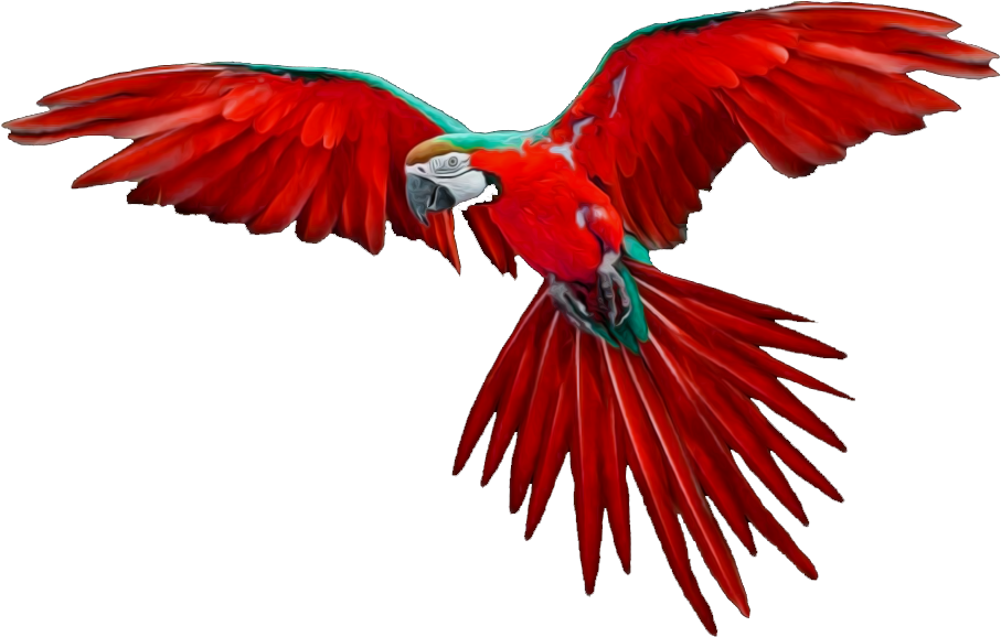 Cute Animals Png - Bird Flying Gif Png Clipart (1213x819), Png Download