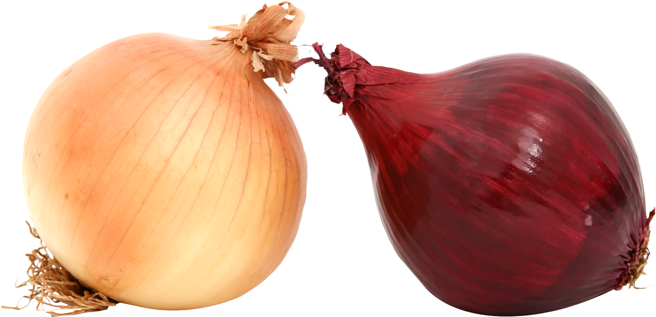 Fresh Onions Png Image - Onions Png Clipart (1355x676), Png Download