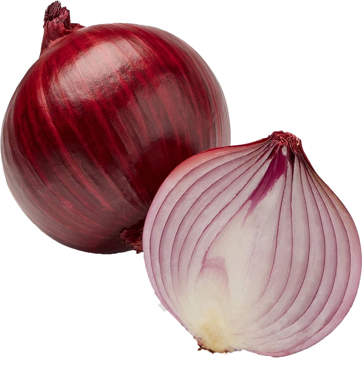 Red Onion Clipart (1406x1500), Png Download