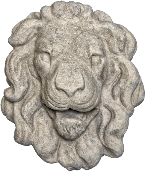 Lion Head 3 Gray Color Smooth Texture Web Version - Masai Lion Clipart (812x671), Png Download