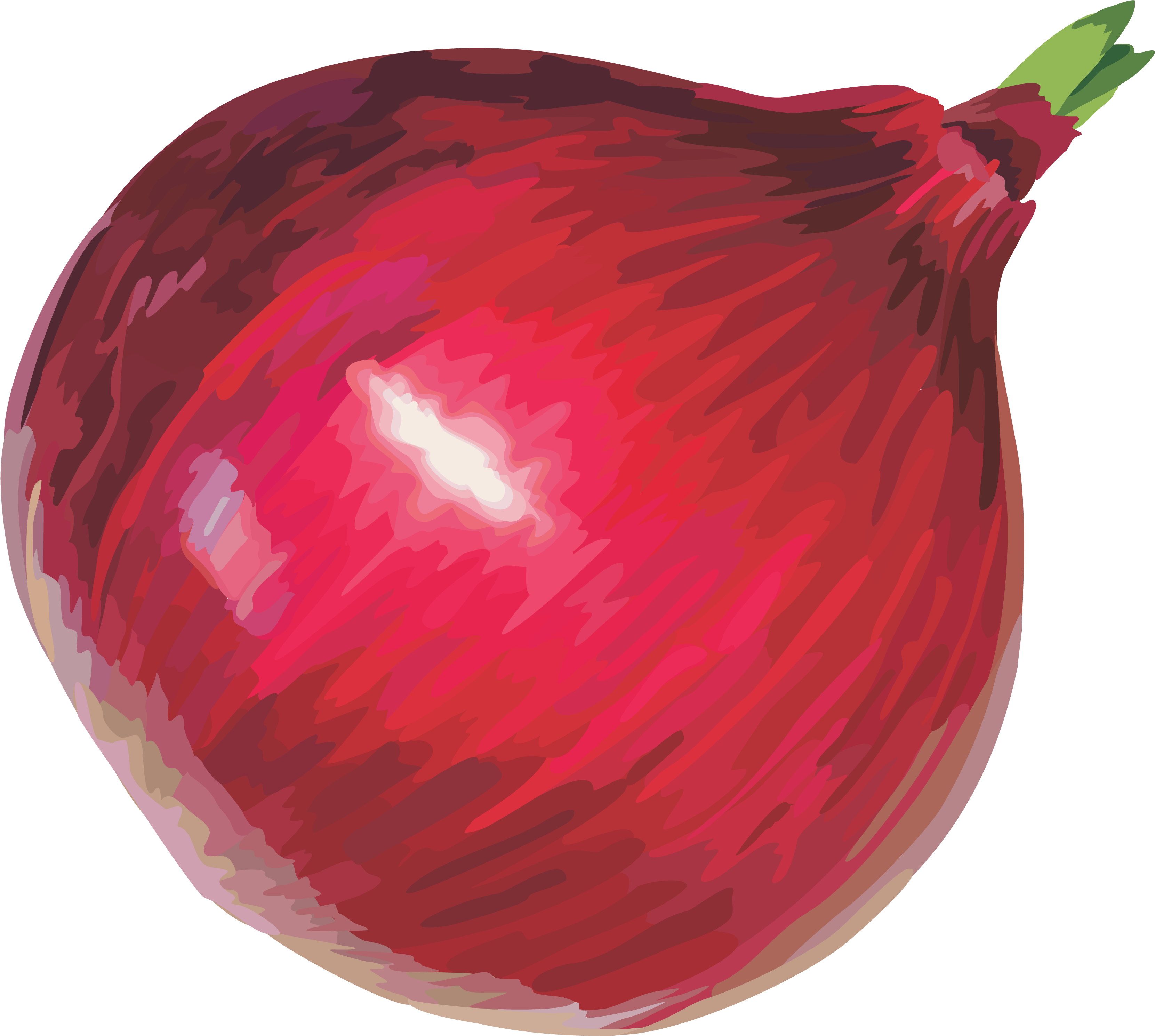 Red Onion Png Image - Onion Png Clipart (3351x2991), Png Download