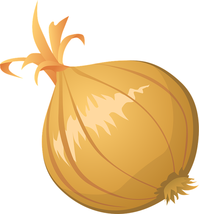 Onion Vector Png Clipart - Onion Clipart Transparent Png (668x720), Png Download