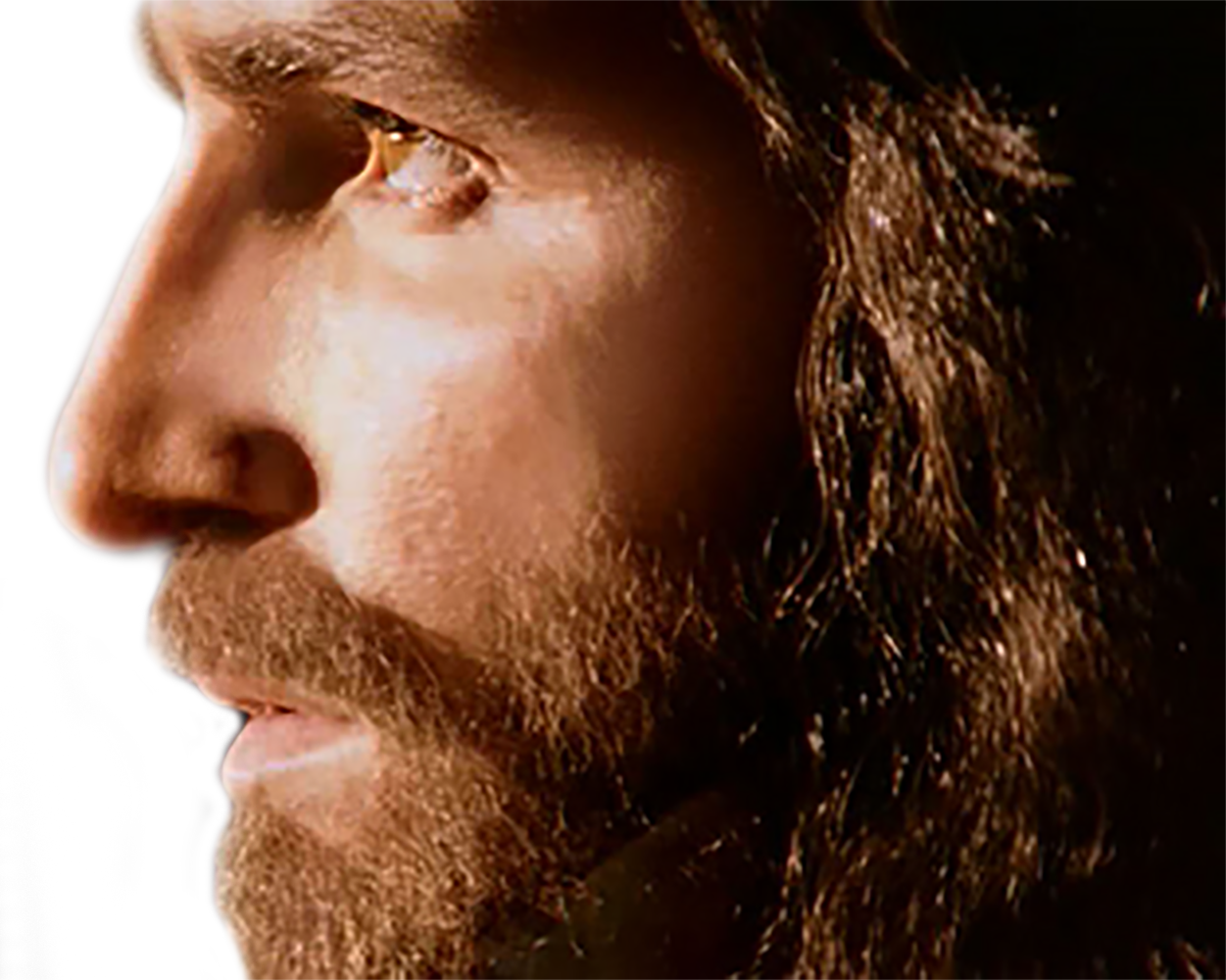A Love Story, For You - Jesus Son Of God Png Clipart (1251x1000), Png Download