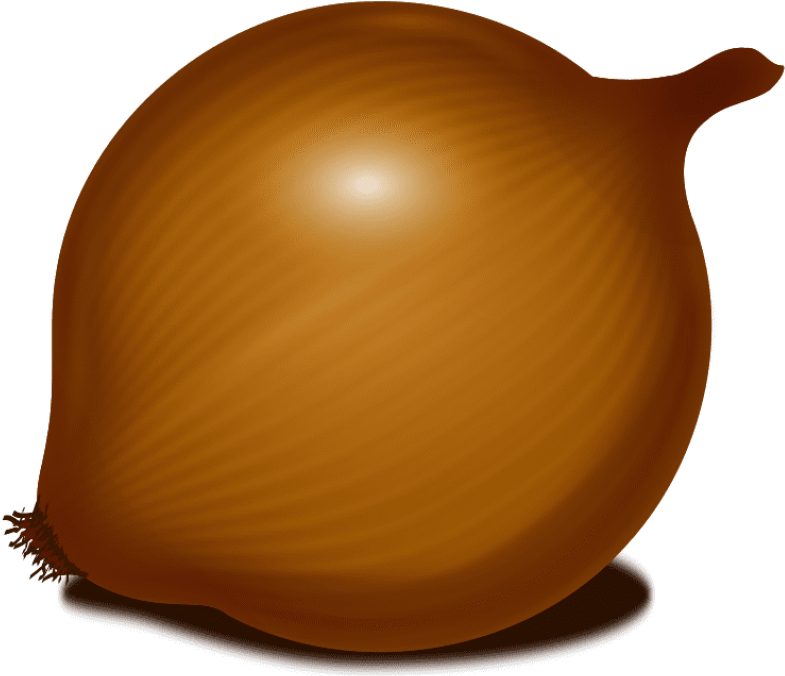 Download Onion Clipart Png Photo - Onion Clipart Transparent Background (850x757), Png Download