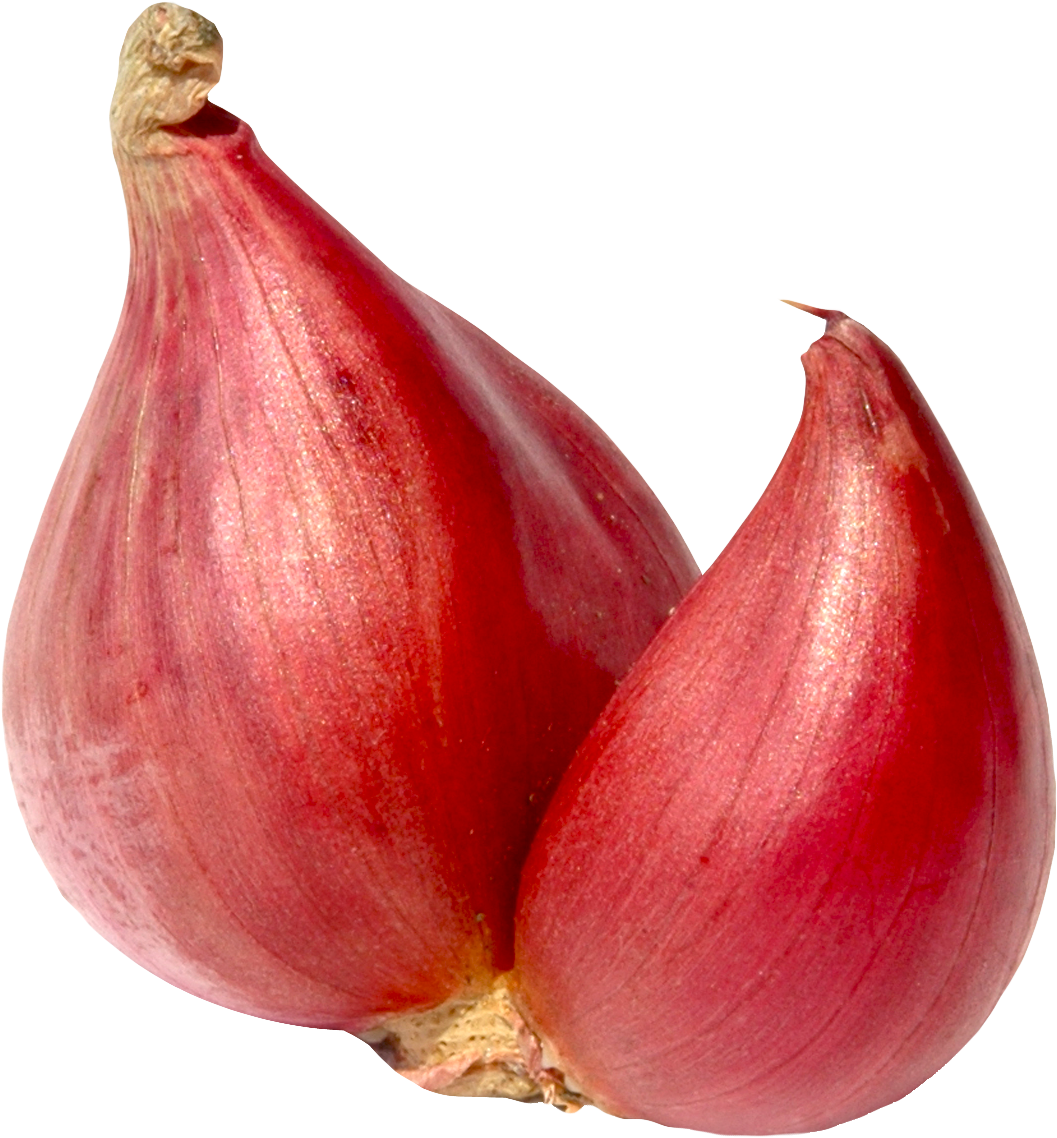 1124 X 1192 - Shallot Onion Png Clipart (1124x1192), Png Download