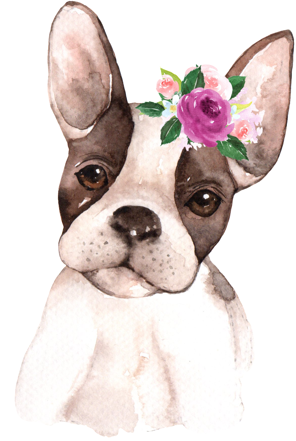 Hand Painted Starling Pet Dog Png Transparent Clipart (1003x1496), Png Download