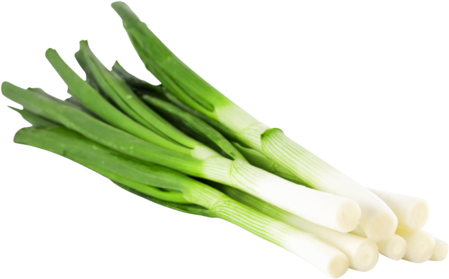 Product Group - Spring Onion Transparent Clipart (800x534), Png Download