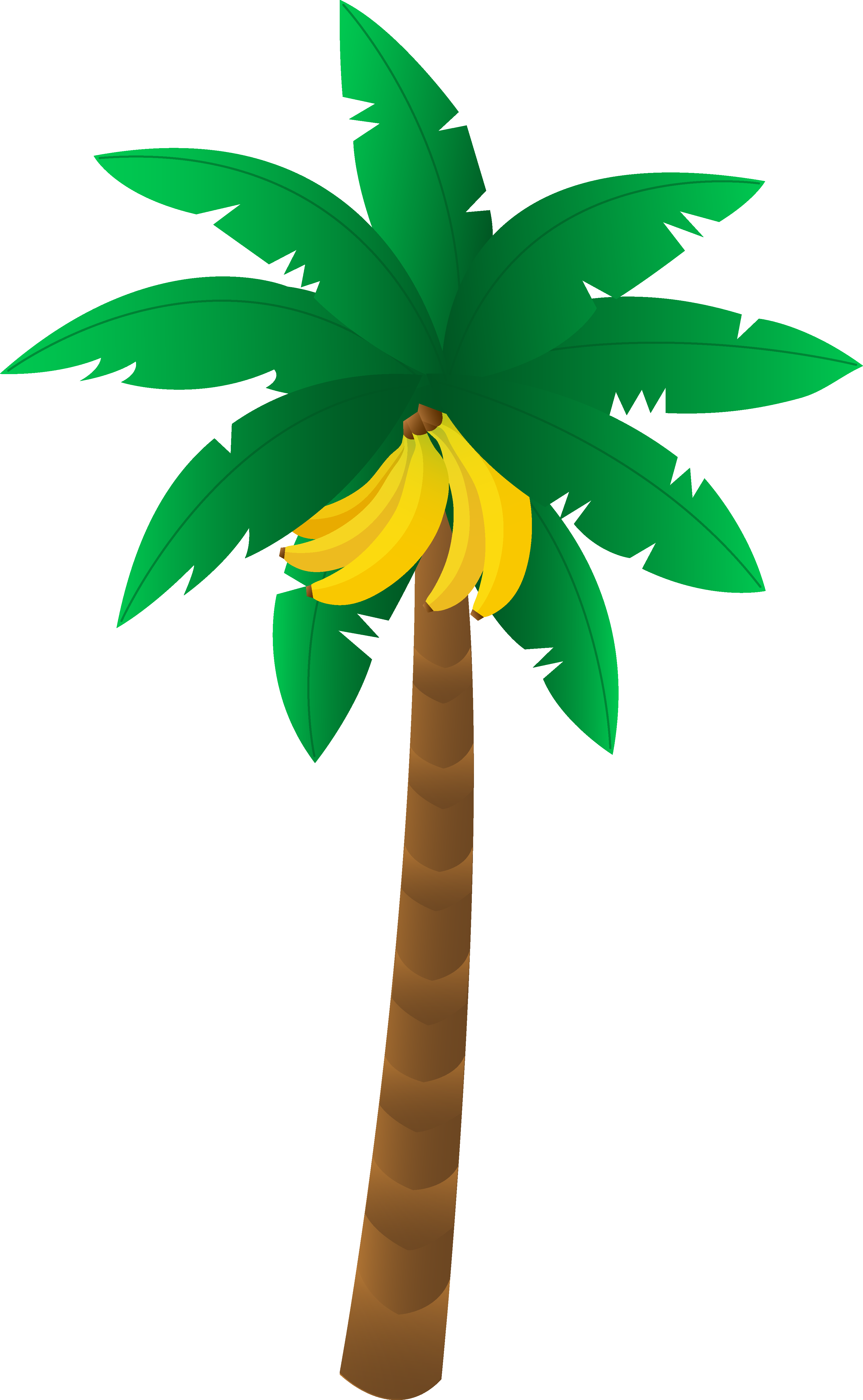 Palm Leaf Clipart At Getdrawings - Banana Tree Clipart - Png Download (3305x5359), Png Download