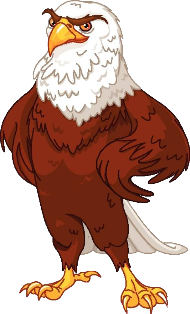 Eagle Png Logo - Bald Eagle Standing Png Clipart (607x1000), Png Download