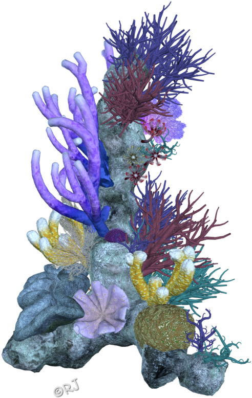 Pin Coral Reef Clipart Png Transparent Png (492x778), Png Download