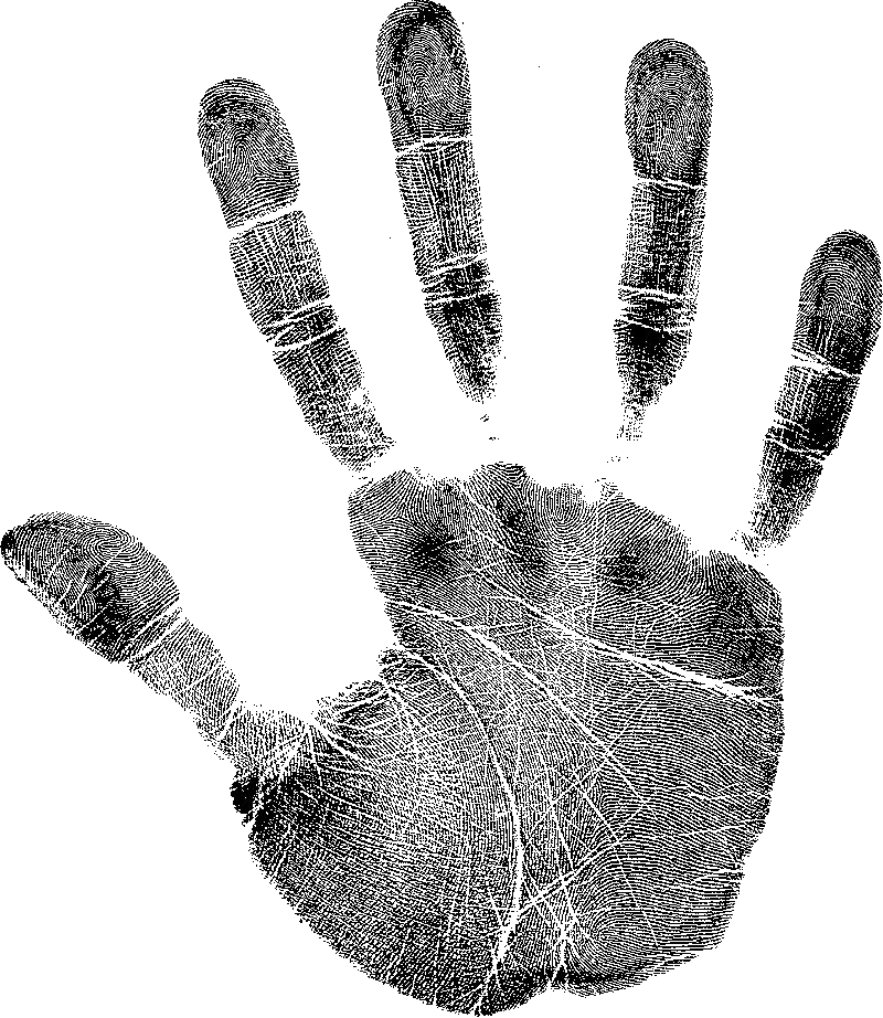 Handprint Png Clipart (800x922), Png Download