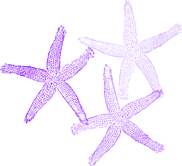 Small - Clip Art Coral Starfish - Png Download (600x549), Png Download