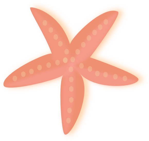 Coral Clipart Seashell - Starfish - Png Download (600x573), Png Download