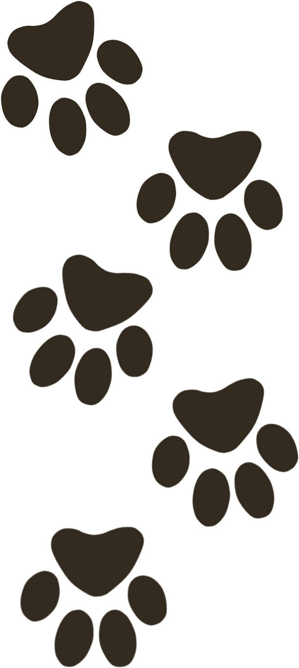 Paw , Png Download - Paws Clipart (611x1364), Png Download
