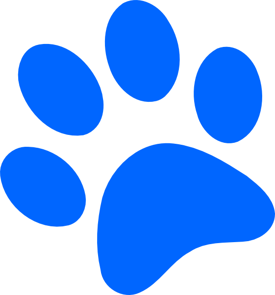 Png Free Download Bobcat Prints Blue Tiger Library - Blues Paw Print Clipart (558x597), Png Download