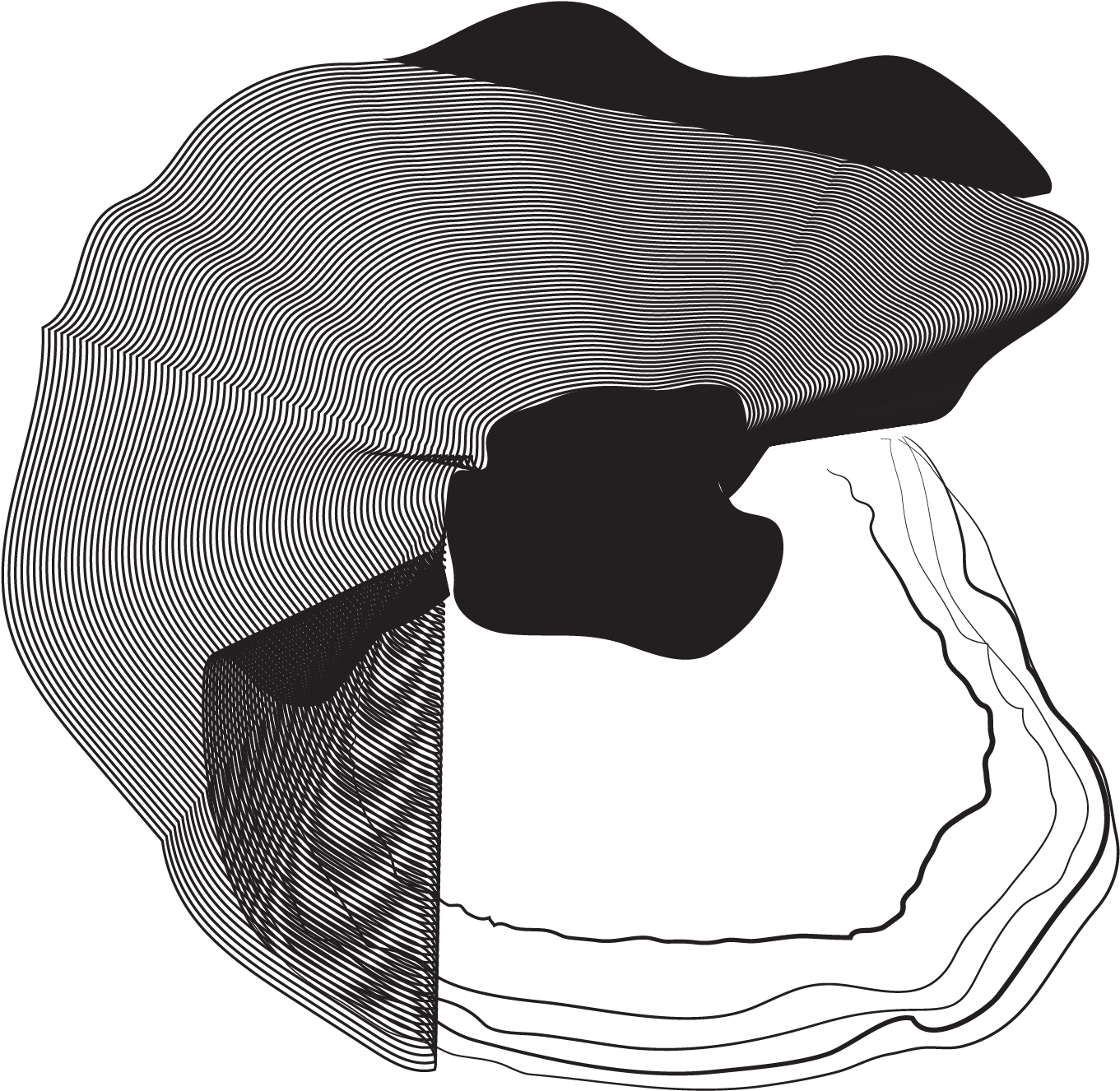 1800 X 1800 3 - Sketch Clipart (1800x1800), Png Download