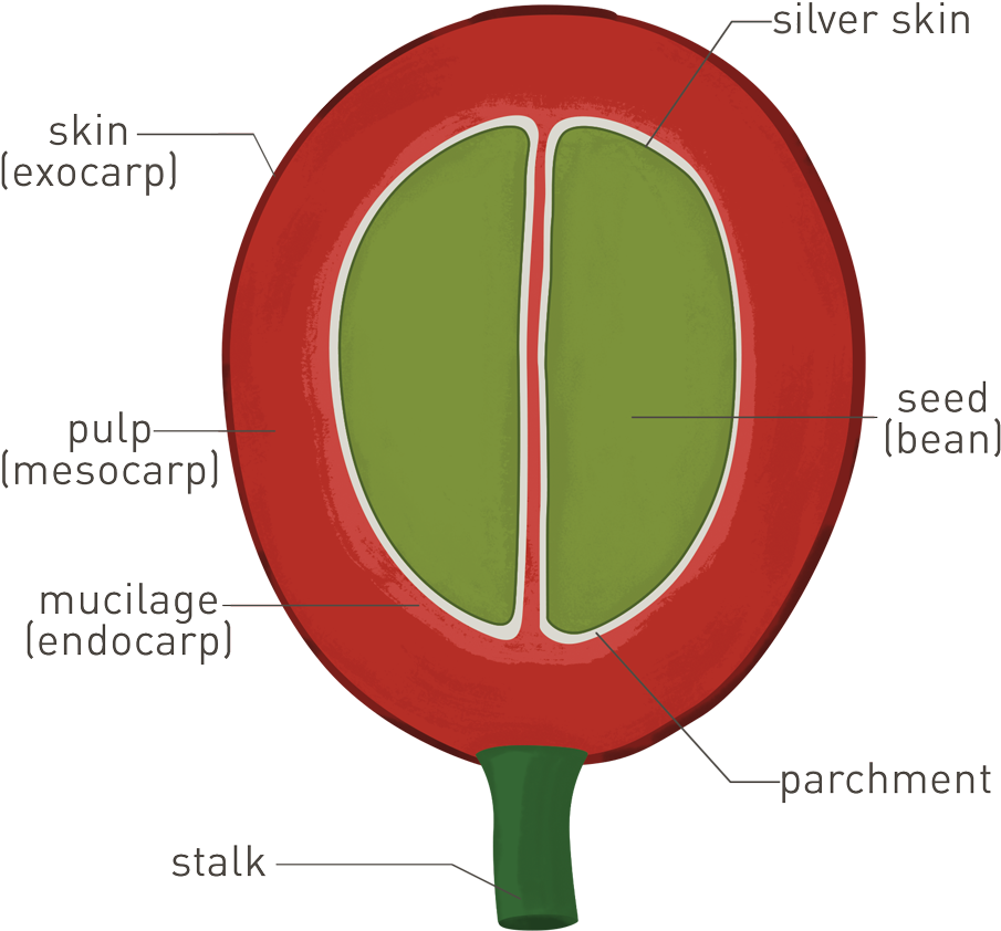 Fresh Cup Magazine - Rambu Dilarang Masuk Clipart (1014x1014), Png Download