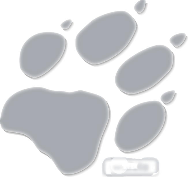 Wolvix-paw - Jack Wolfskin Clipart (1063x1003), Png Download