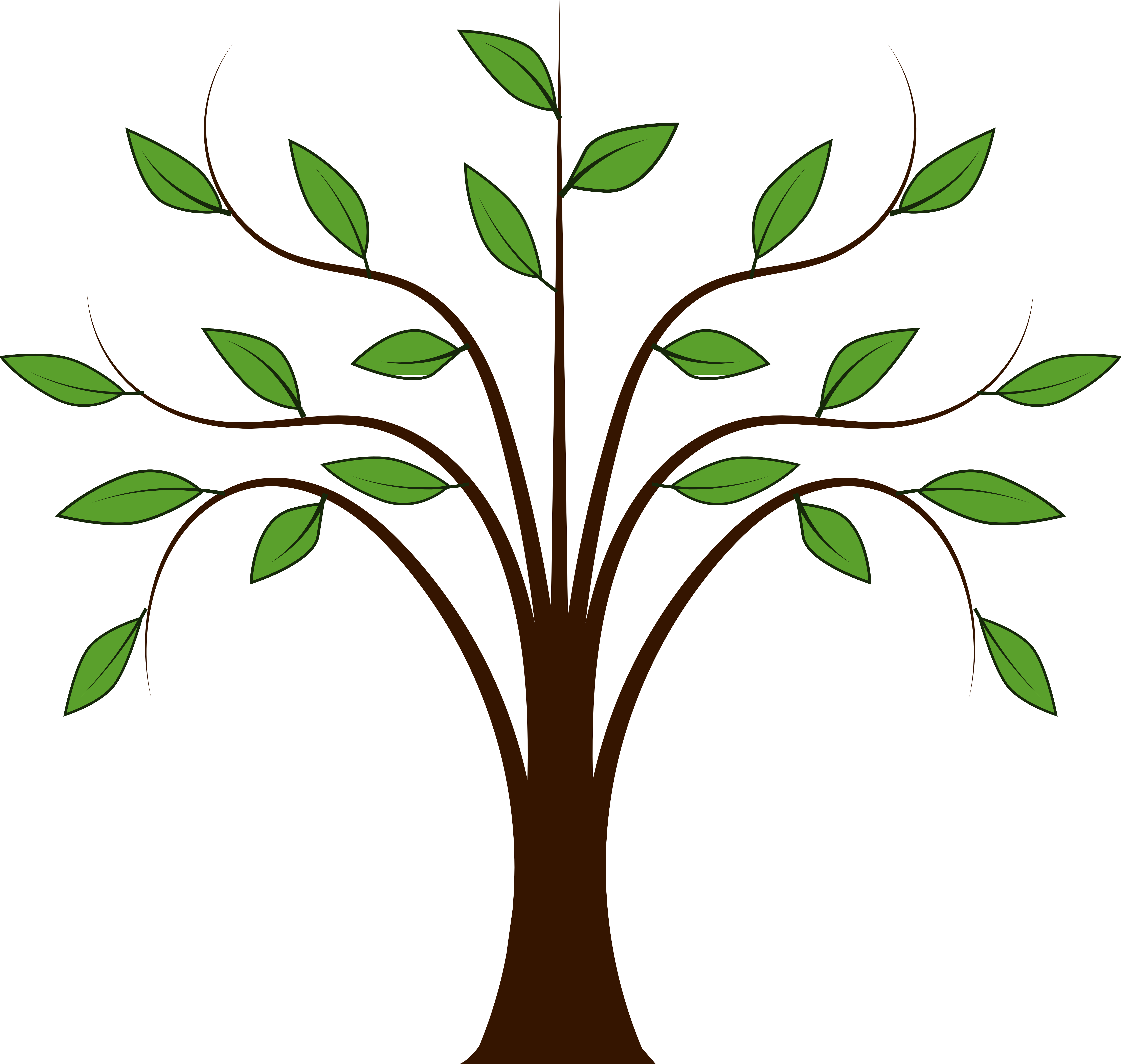 Tree Vector Art - Tree Clipart - Png Download (5555x5270), Png Download