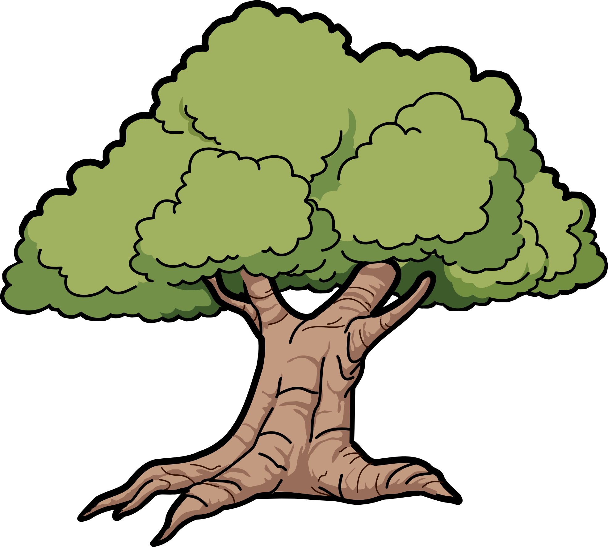 Free Vector Tree Png - Oak Clipart Transparent Png (999x898), Png Download
