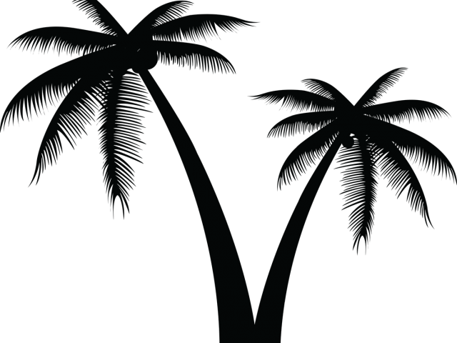 Free Tree Vectors - Coconut Tree Logo Vector Png Clipart (640x480), Png Download