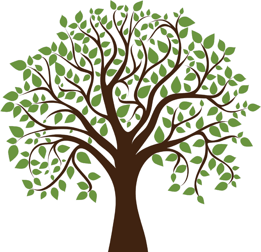 Logo - Vector Transparent Background Tree Png Clipart (1058x855), Png Download