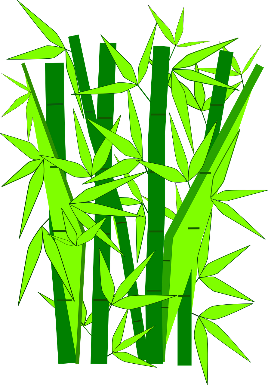 Bamboo Tree Vector Png - Bamboo Png Cartoon Clipart (501x720), Png Download